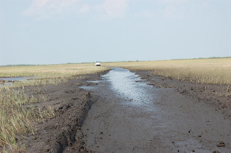 508. pantano.JPG